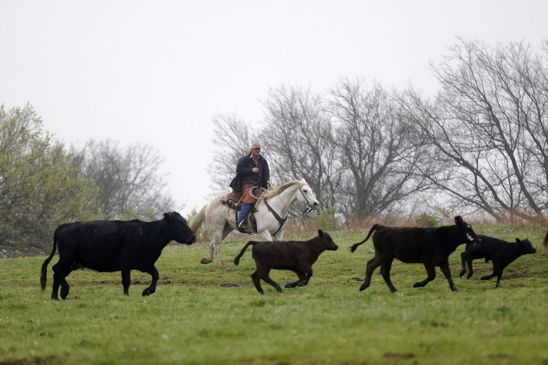 McFarlin Ranch